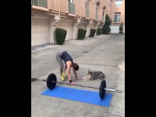 Тренироа с пёселем nhtybhjdrf c g`ctktv nhtybhjdrf c g`ctktv nhtybhjdrf c g`ctktv