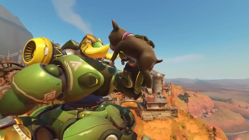 Giant orisa puppy is real