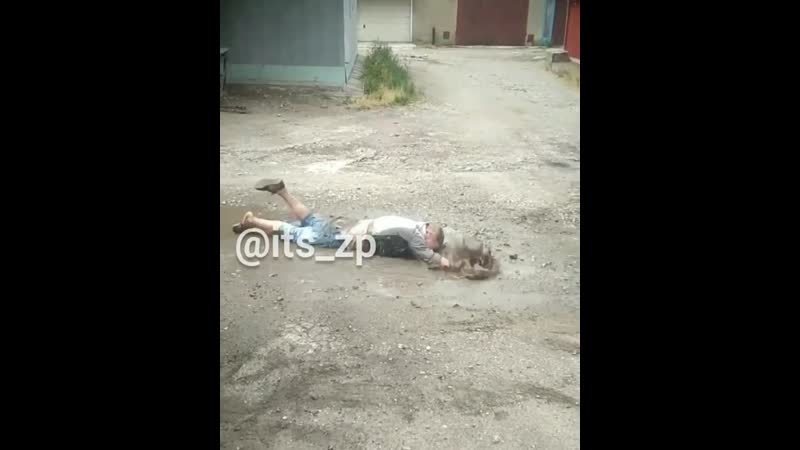 Преступник пытался скрыться вплавь, но береговая охрана подоспела вовремя 😂