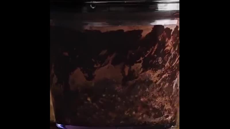 Гениальные домашние рецепты (480p) mp4