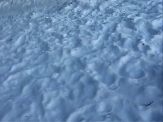 На зимнем шашлыке 28 января, 2012