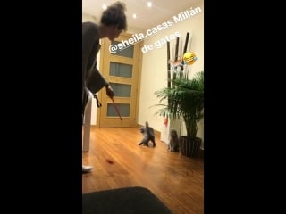 Sheila y gatos ❤😺