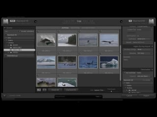 How to get and stay organized in lightroom with tim grey
