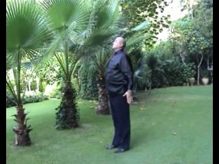 Ветров и и древнеславянская гимнастика ''здрава''