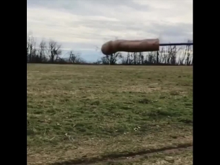 Сказочный долбоёб