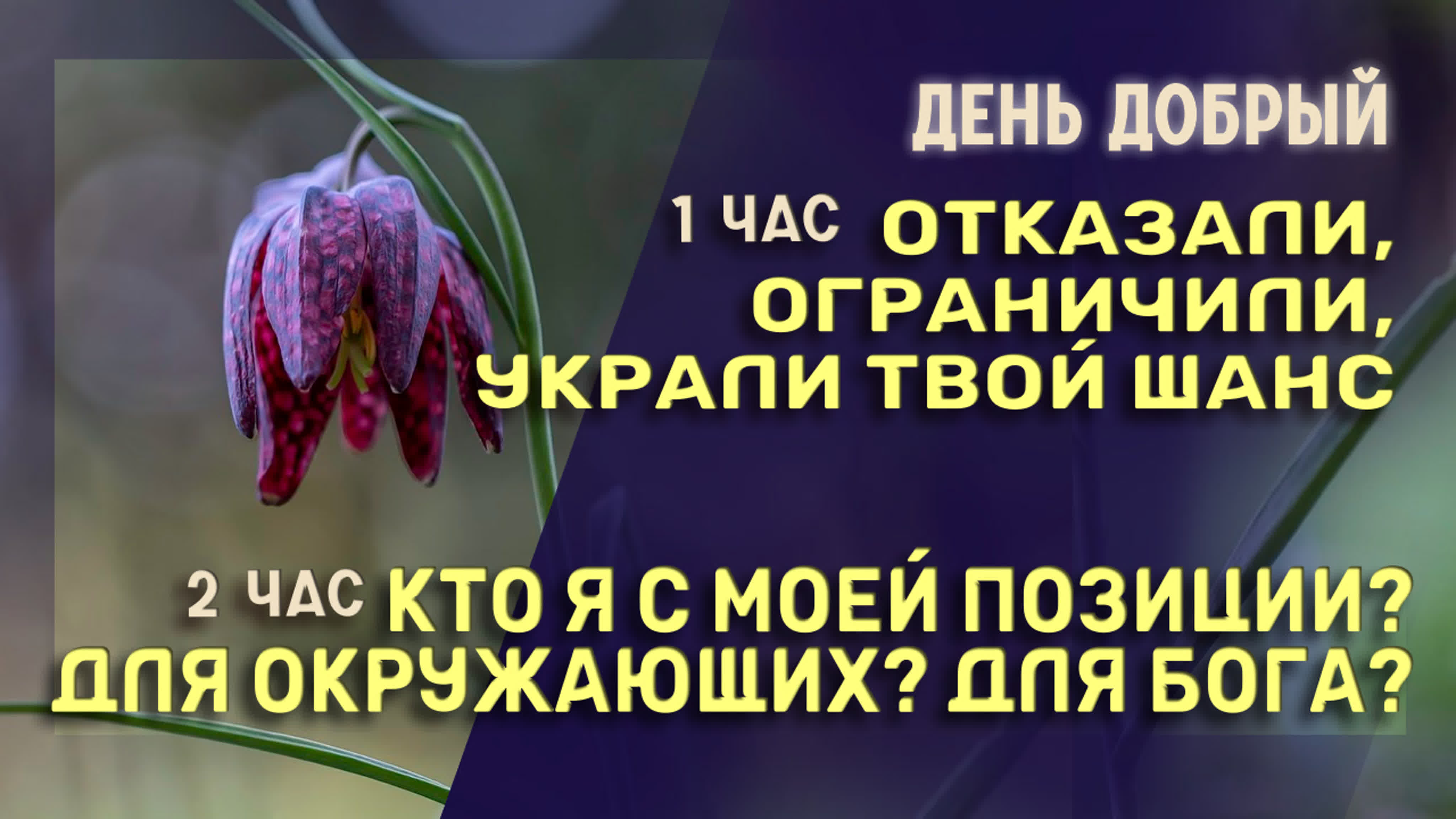 Украли твой шанс кто я в этом мире? #психология watch online