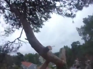 This particular job is 100% safe