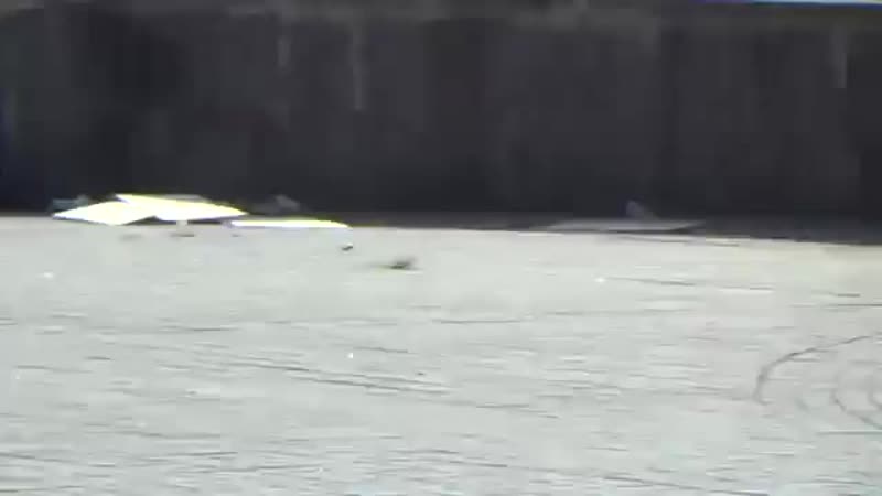 Європейська культурна столиця mp4