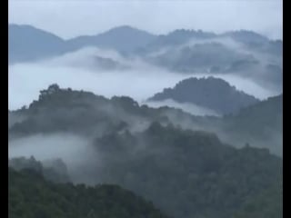 Ушу ролик гку дюсш№6 тренер минтян в в и её ученики