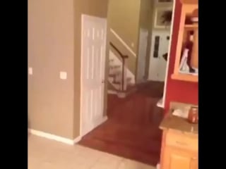 Не получилось напугать