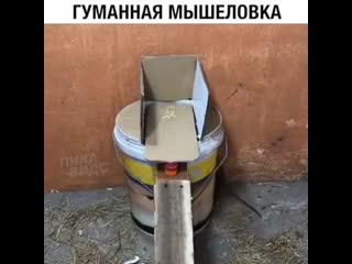 Гуманная мышелоа