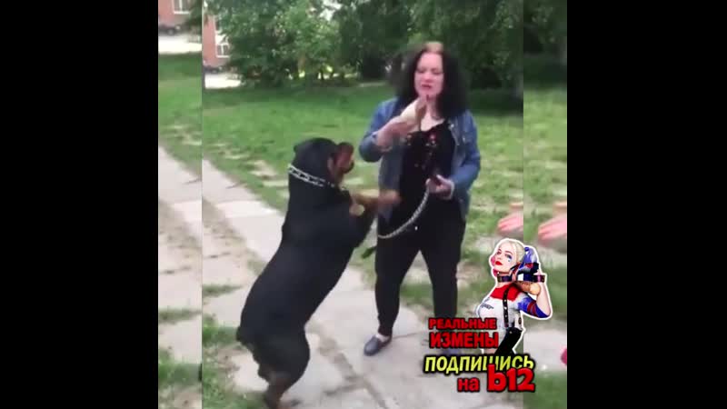 Неадекватная девушка с собакой / жесть