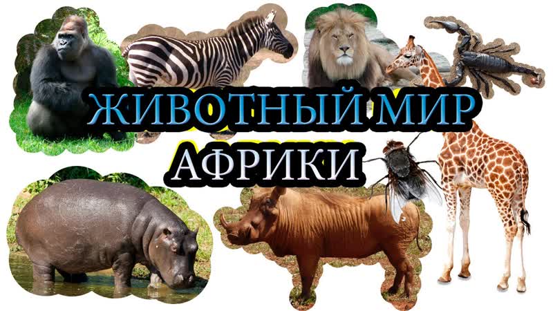 Учим porn video – Молодые африки! учим секс для самых маленьких на русском! развивающие мульт