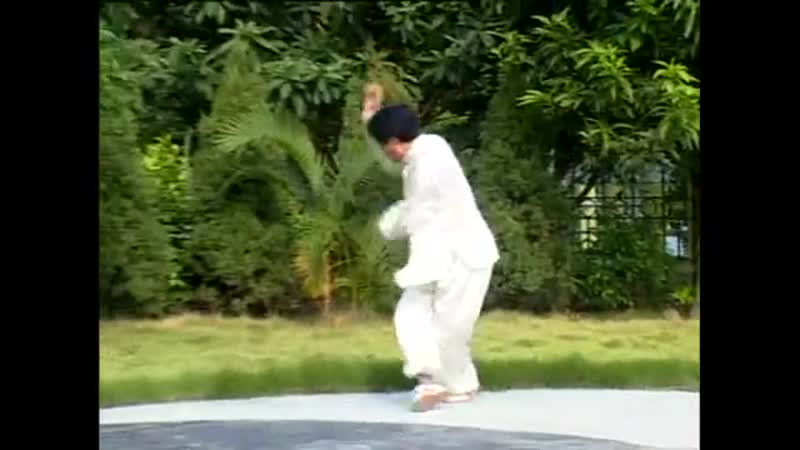 Стиль богомол сливы мэйхуа тайцзи ушу maihua plum mantis style meihua taiji
