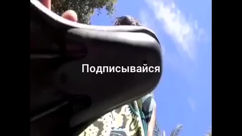 Еркексіз жыныс мүшесі бар балапанның фотосы