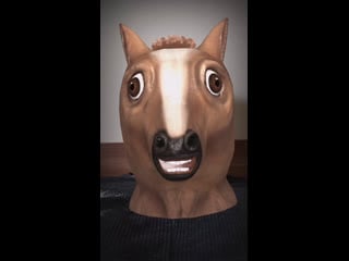 Разговоры с конём