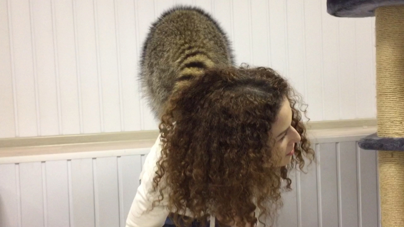 Брабус делает массаж гостье