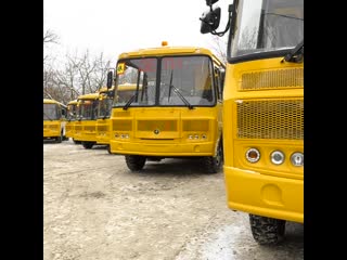 Школьные автобусы