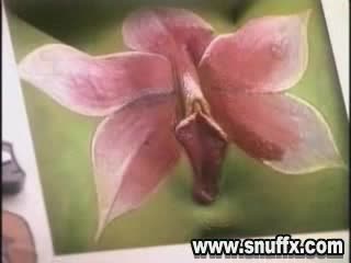 Цветы в рисунке pussy art xxx