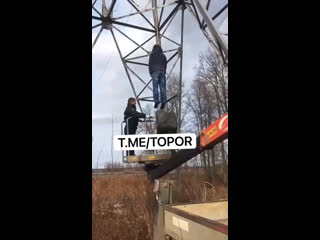Молодые за наследство