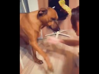 Snezhana prudko 20200418 2 mp4