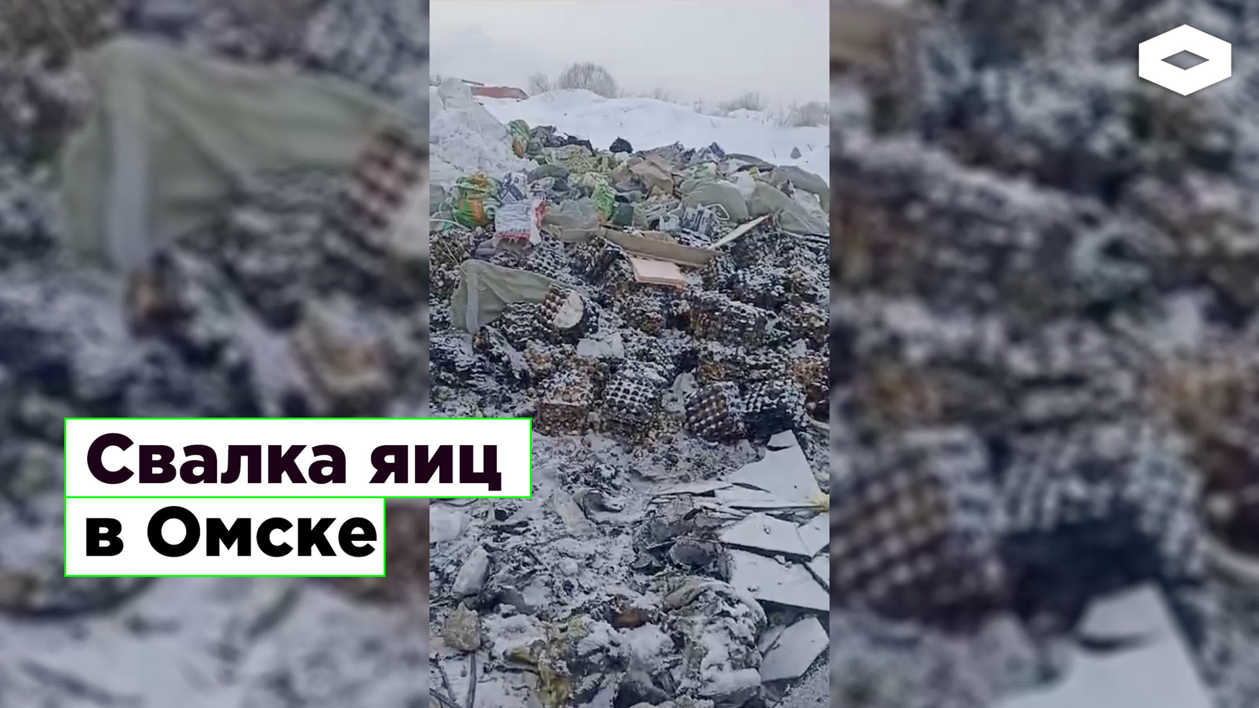 Свалка яиц в омске