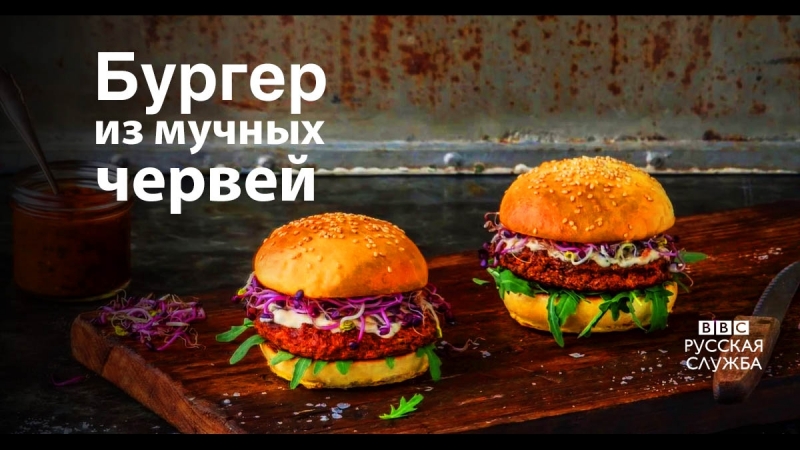 Супермаркеты в швейцарии запускают в продажу продукты из насекомых