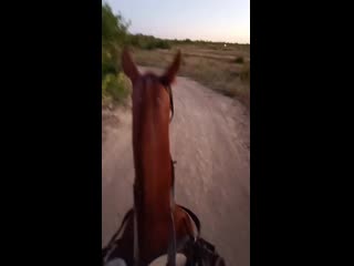 Video 20200813 200911 mp4