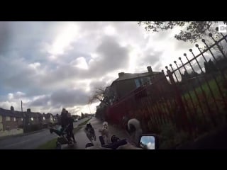 Owner pulled by huskies in go kart(1)