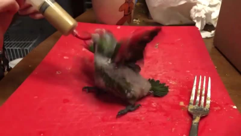 Ля как жрет чорт