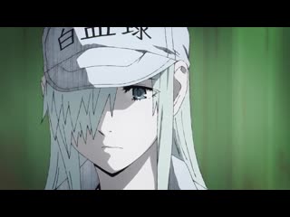 Hataraku saibou black