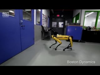 Люди снова издеваются над роботами boston dynamics