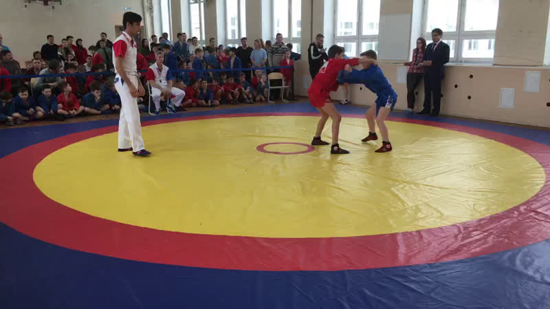 Live самбо цспв «витязь»