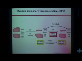 Шеннон флеммер вентиляция легких специальные стратегии special ventilation strategies