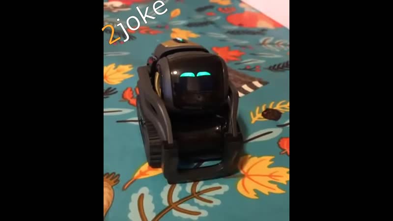 Робот anki vector