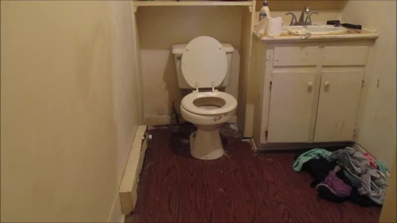 Скрытая камера поймала транса на