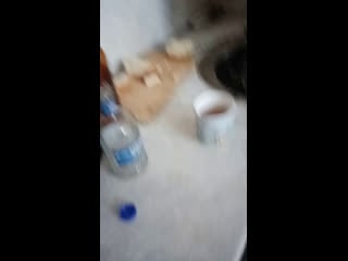 Live prk вписка