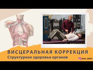 Висцеральная коррекция структурное здоровье органов