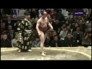 Smaller czech guy competes in sumo