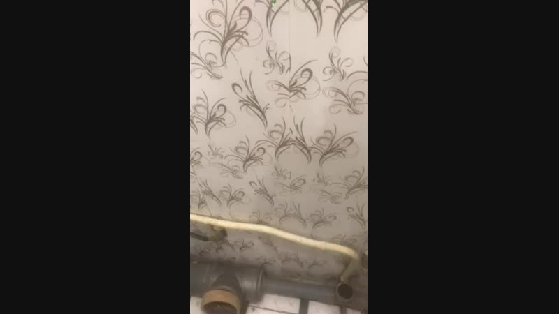 Салфетка инволвер убирает в туалете