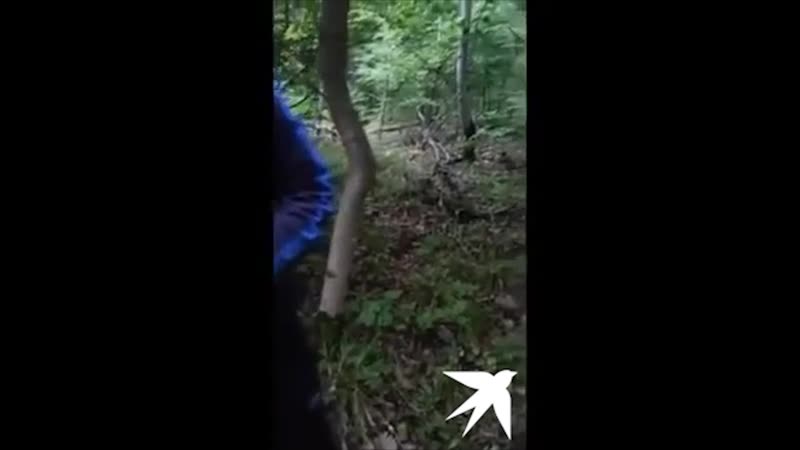 Работайте, братья!" смерть магомеда нурбагандова полное видео