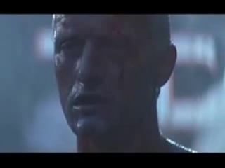 Tears in the rain