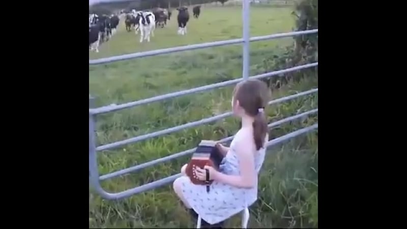 Заклинательница коров