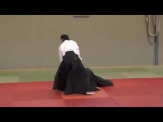 Aikido okamoto yoko sensei seminar in offenbach 2014