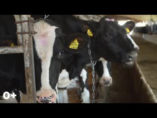 Молодой фермер