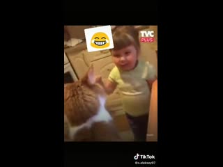 Рыжая морда