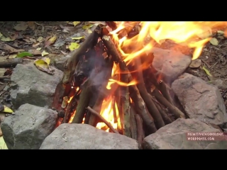 Palm thatched mud hut