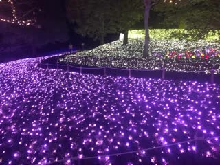 Macross illumination live !!!!!!