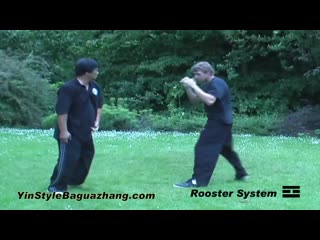 A brief introduction to yin style bagua