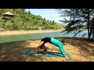 Urdhva dhanurasana ( variation ) bridge pose with half lotus